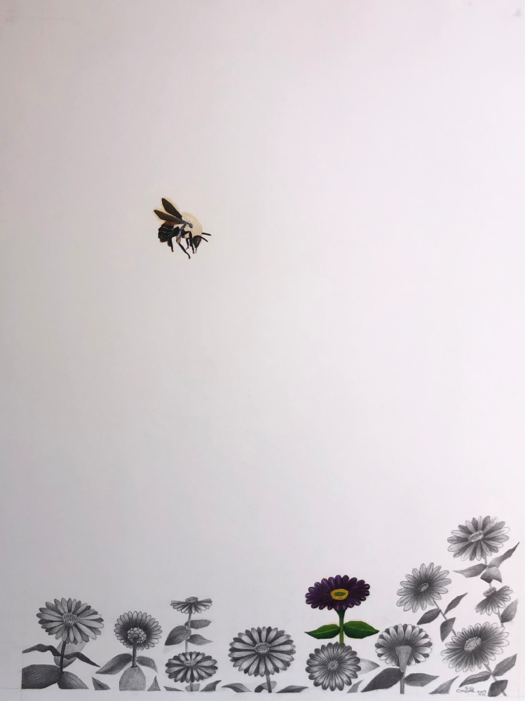 Bumblebee NYC US.